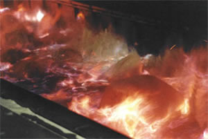 Fluidised Beds